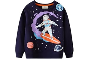 QHKEPW Boys Jumper Dinosaur Digger Tractor Astronaut Kids Sweatshirt Toddler Top Long Sleeve Round Neck Cotton Casual Clothes T Shirt 1-7 Years Old