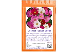 DAMAVAND PRO Cosmos Sensation Mixed Pink, red, White - Annual Garden Flower 150 Seeds Gift