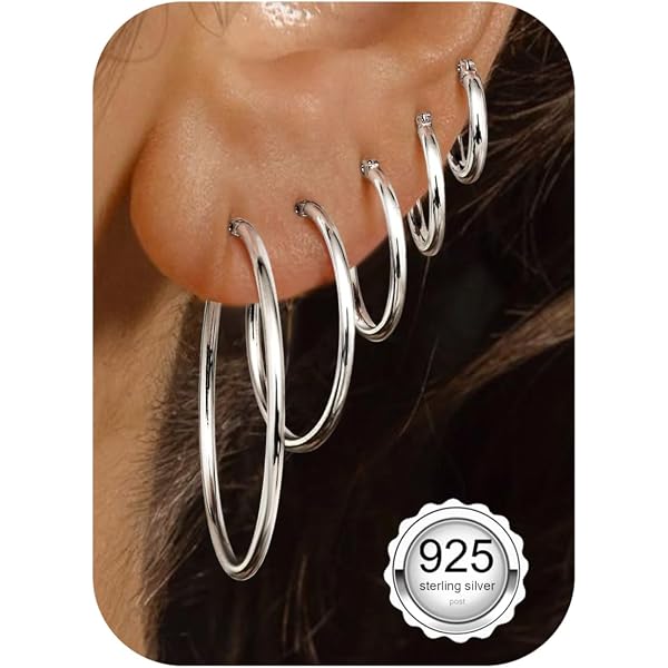 KINGWHYTE Orecchini A Cerchio Infinito In Argento 925 Con Zirconi – Huggies A Nodo Per Donna