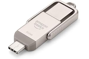 Amazon Basics Memoria USB, Memoria Portátil con Puertos USB C y USB A Duales, 512GB, Color Champán Plateado