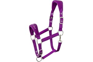 AK RIDING SPORTS AK Licol pour Cheval Doux et Rembourré Confort Supérieur avec Rembourrage, Sangles Réglables à la Muserolle et à la Nuque Licol Doux, Résistant et Sécurisé pour Chevaux 6070 (Violet, Cob/ (M))