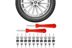 SGERUFZ Núcleo de válvula de neumático de coche de 10 piezas que incluye 2 extractores de válvula, herramientas de repuesto para motos y camiones, llave para neumáticos