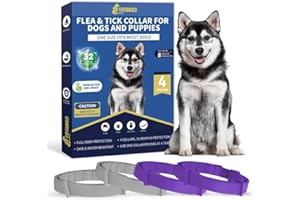 YOTANGO Flea Collar for Dogs, 4 Pack Dog Flea Collars, 32 Months Flea Treatment for Dogs, Natural Dog Flea Collar, Water Resistant Adjustable Flea and Tick Treatment Collar for Small Large Dogs, Gray&Purple