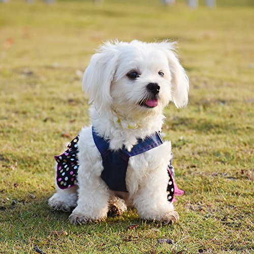 Yunt-Fashion-Sweet-Heart-Sequins-Denim-Dog-Dress-for-Dog-Shirt-Unique-Dog-Clothes-Pet-Dress