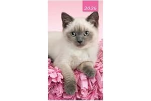 CARDS GALORE ONLINE 2026 Slim Pocket 2 Week To View Soft Back Cat Diary - Pink with White Grey Kitten