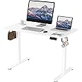 ERGOMAKER Electric Height Adjustable Standing Desk 110x60cm (43.3"x23.6"), Sit Stand Desk with Splicing Top for Home Office (White Frame + White Desktop)