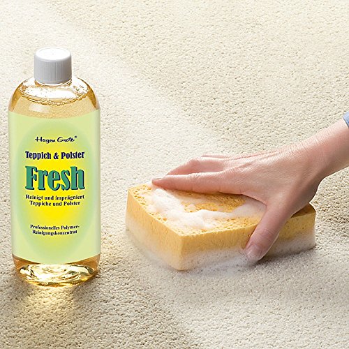 Teppich- und Polster Reinigungskonzentrat