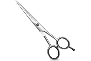 SS INSTRUMENTX Professionell hårsax, frisörsax av rostfritt stål för frisörer och salonger, vass hårklippningssax, lämplig för alla hårtyper (silver, 15 cm)