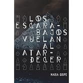 Los escarabajos vuelan al atardecer: 31 (Gran Angular)