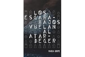 Los escarabajos vuelan al atardecer: 31 (Gran Angular)