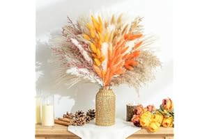 DORCLIFE Nature Pampas Grass Boho Natural Dried Flowers Decoration Bouquet DIY Reed Flower Decor for Flower Arrangement, Wedding Decor, Home Décor, Table Living Room Vases (Orange)
