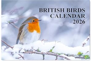British Birds Calendar 2026 A4 12 Month to View Wall Calendar 2026 Perfect for Schools, Offices, and Homes Papa Prints
