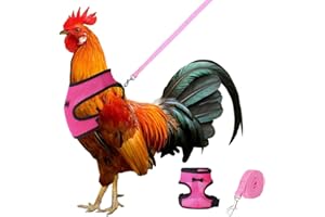 IKOPFLN Harnais avec laisse réglable et respirant pour poules animaux domestiques canard oie promenade taille M rose