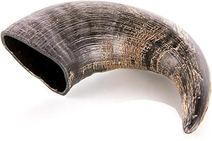 Animal House Corna di Bufalo per Cani, Masticativo Naturale al 100%, Rafforza Igiene Orale, Resistenti e Duraturi, Disponibili in Tutte Le Taglie, Cruelty Free (1, M)