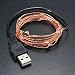 Beauty Lights 2M 20LED USB Powered Copper String LED Lights RS.265.00