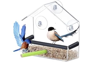 DeJivsin Mangeoire à Oiseaux pour Extérieur 15 x 15 x 6cm, Bird Feeder, Mangeoire Transparente pour Oiseaux, avec Ventouses Puissantes, pour Sauvages Moineaux