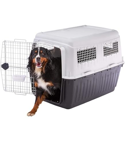 Transportadoras Para Perros Grandes Caja De Transporte Para