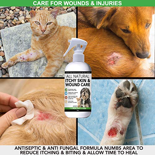 Spray-Pour-Le-Traitement-Des-Dmangeaisons-Et-Des-Plaies-Pour-Chiens-Chats-Entirement-Naturel-Soin-Cutan-Anti-Dmangeaisons-Apaise-Les-Dmangeaisons-Les-Lsions-Cutanes-Et-Les-Plaies