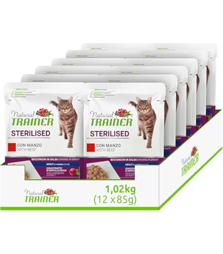 Dreamies Snack Per Gatti Al Sapore Di Erba Gatta - Croccanti Fuori E Morbidi Dentro, Confezione Da 6x60g