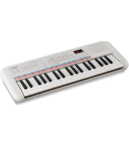 Clavier Casio Casiotone CT-S100AD - Touches Lumineuses, Bloc D'alimentation Inclus - Noir, Idéal Pour Débutants