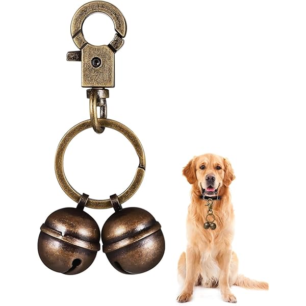 Collier Chien, Collier Chiot, Collier Petit Chien, Collier Grand Chien