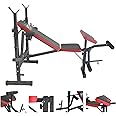 Panca Multifunzione Palestra Casa Addominali Pettorali Glutei Polpacci Dip Station Stazione FLMD758N
