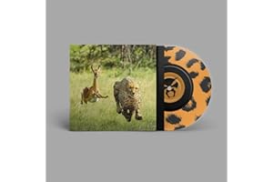 No More Lies Limited edition single sided cheetah screenprint