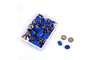 SHTGOI 100 puntine rotonde, puntine decorative, con teste in plastica e punte in acciaio, spille rotonde, per foto, bacheca, colore blu