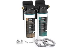 Frizzlife DW10 system filtrów wody pod zlewem, elementy z certyfikatem NSF/ANSI 53 i 42, redukuje 99,99% ołowiu, chlor, fluor, nieprzyjemny smak i zapach, bezpośrednie połączenie 2-stopniowy filtr wody, 0,5 mikrona, USA Tech
