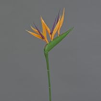 Amazon.de: artplants.de Knstliche Blume Strelitzie ZETKIN, orange -  violett, 65cm - Kunst Paradiesvogelblume