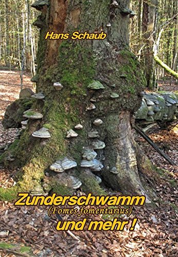 Download Zunderschwamm und mehr: Meine Erfahrungen beim Bearbeiten des Zunderschwammes Download Zunderschwamm und mehr: Meine Erfahrungen beim Bearbeiten des Zunderschwammes
