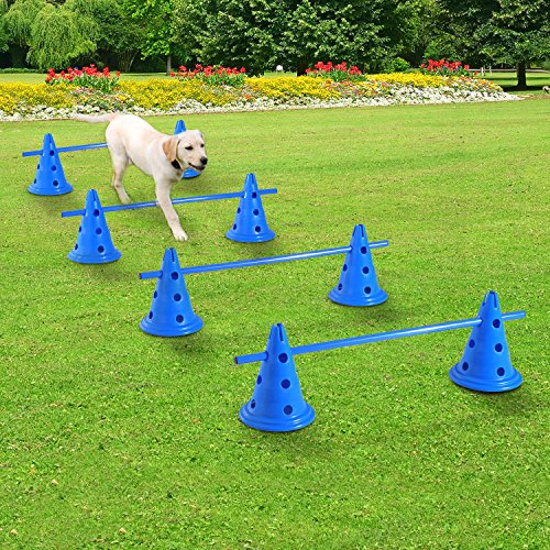 PawHut Dog Agility Equipment Play Run Jump Kit Indoor Outdoor Exercise
