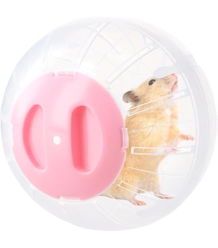 Palla Da Jogging Per Criceti E Piccoli Animali - Giocattolo Trasparente Per Esercizio - Foto 5