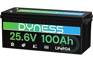 ‎DYNESS Dyness 24V 100Ah LiFePO4 Lithium Batterie mit Integriertem 100A BMS, ideal für 24V Trolling-Motoren(Bassboote), Wohnmobile und netzunabhängige Anwendungen