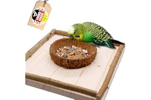 Vogelgaleria® Sitzbrett mit Kokosschale Futternapf zum Herausnehmen. Pfiffiges Vogelspielzeug und Futterbrett für Wellensittich, Nymphensittich
