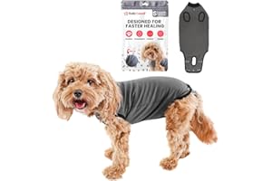 BellyGuard Dog Body After Surgery for Female and Male, Surgical Body Dog Castration Dog Body Operation Body for Dogs After Surgery & Dog Bodysuit After Castration Male, Alternative to Neck