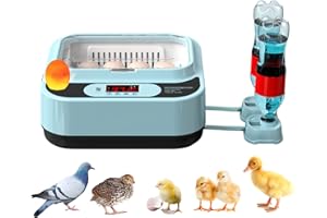 OUYOLAD Egg Incubators for Hatching Eggs Automatic Turning Incubator Brooding Chicken Incubator Home Incubator Farm Egg Incubator 15 Eggs