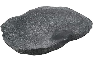 Sheens Reptile Feeder, Resin Rock Reptile Nourriture et Eau Bol pour Animaux de Compagnie Terrarium Ornement Plat pour Assiette Tortue Lézard Caméléon Iguane(M-Vert)