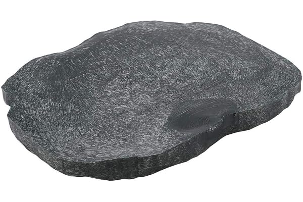 Bol en Résine pour Reptile, Nourriture et Eau, Ornement pour Terrarium, pour Tortue Lézard Caméléon Iguane, Vert, Taille M