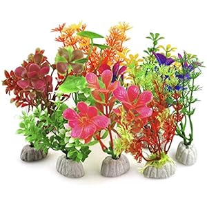 [Gesponsert]DIGIFLEX 10 x verschiedene Aquariumpflanzen Aquarien