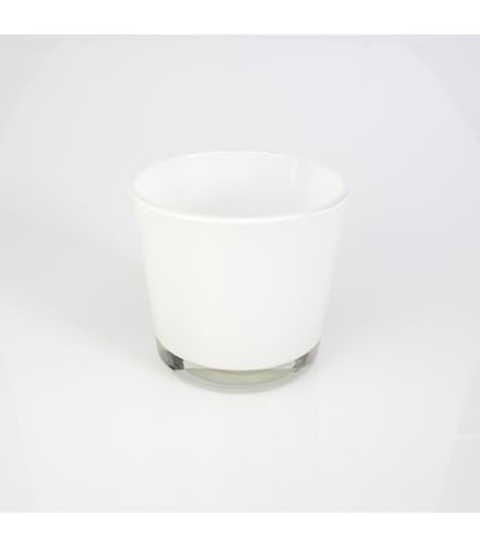 Portacandela in vetro / Vaso da fiori LEA FIRE, trasparente, 25cm, 15cm