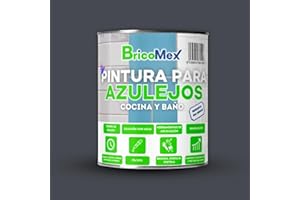 BRICOMEX Pintura para Azulejos con Acabado Brillante, Durabilidad, Económica, Fácil Aplicación, Resistente al Agua (750 ML, GRIS GRAFITO)