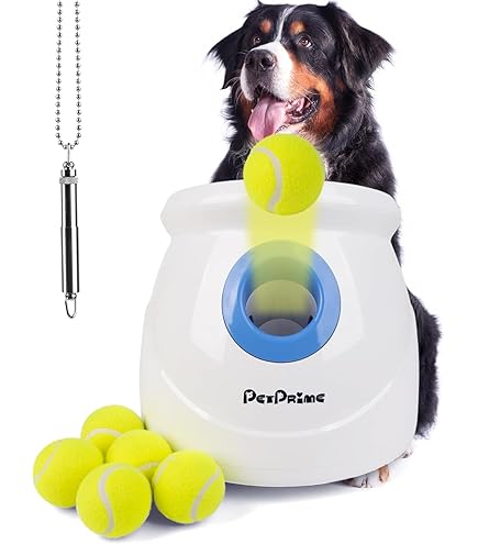 ALL FOR PAWS Hundetennisbälle 6er Pack - Super Federnd Für Ballwurfmaschinen