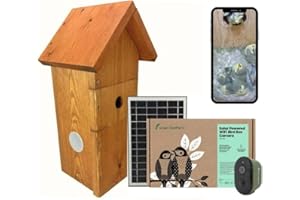 Green Feathers Battery Powered Solar Bird Box Camera With Wi-Fi Connection, Outdoors Wildlife Camera for Bird Boxes - Starter Kit