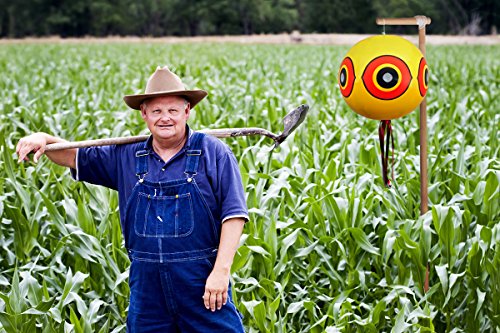 De-Bird – Ballons mit Augen zur Vogelabwehr – Vogelschreck für Tauben, Spechte etc – Wirksam und unschädlich - 6