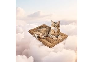 Mora Pets Katzendecke für Katzen Katzenkissen Flauschig Katzenbett Waschbar und rutschfest Katze Decke Kuscheldecke für Kleine Mittelgroße Grosse Katzen, 53 x 33 cm