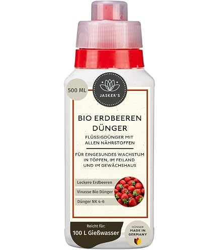 Bio Olivenbaum Dnger flssig 2 Liter Konzentrat fr 400 Liter Giewasser -  100% organischer Dnger fr Olivenbaum - Mediterraner Pflanzendnger fr  Garten & Kbel - Oliven Dnger : Amazon.de: Garten