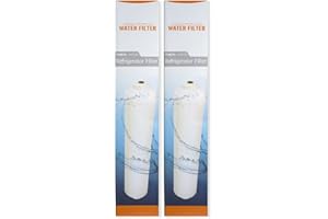 Microfilter DA2010CB | 2er Pack externer Wasserfilter kompatibel mit Samsung DA29-10105J – HAFEX/EXP HAFEX - kompatibel mit LG 5231JA2010B, Beko, Haier Kühlschrank Filter