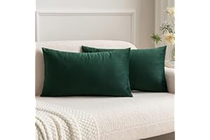 MIULEE Lot de 2 Housses de Coussins en Velours Décoratif Canapé Taie d'oreiller Super Lisse Doux Decoration Maison Salon Chambre pour Canapé 2 Pièces 30X50CM Vert Foncé