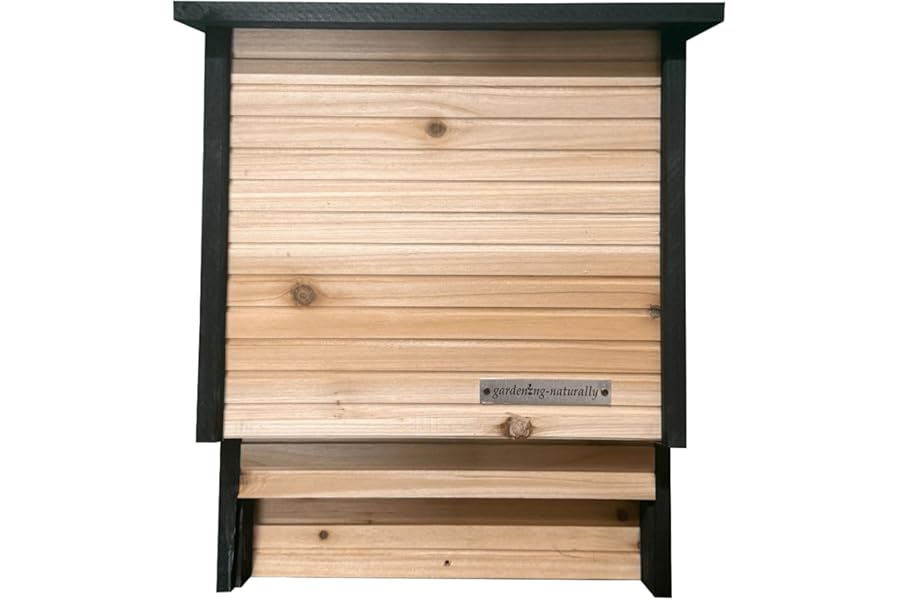 Wooden Bat Box for UK Bats Pipistrelle Bat House for Garden Trees Walls Posts Safe Roosting Space Bat Box Facing South or Southeast Supports Native Bat Species Natural Insect Control
